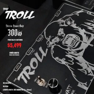 Stereo Power Amp 300 watts RMS